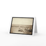 Cowboy Round-Up at Belle Fouche SD 1887 Card