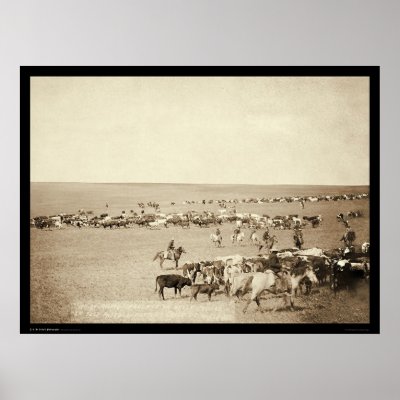 Cowboy Round-Up at Belle Fouche SD 1887 Print by lc_grabill