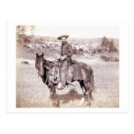 Cowboy solitaire carte postale