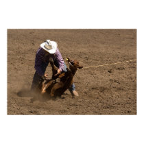 Cowboy ties a calf posters