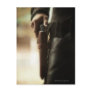 Cowboy with gun in holster postcards