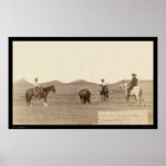 Cowboys Roping A Buffalo SD 1887 Print