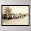 Cowboys Roping a Herd of Horses SD 1887 posters