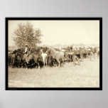 Cowboys Roping a Herd of Horses SD 1887 Poster