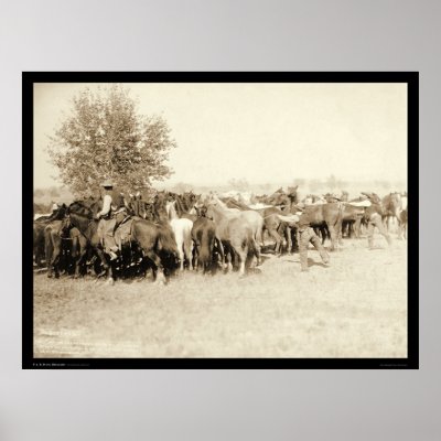 Cowboys Roping a Herd of Horses SD 1887 Poster by lc_grabill