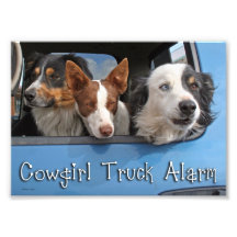 Cowgirl Truck Alarm 5x7 Photograph