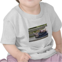 Cowgirls Shirt