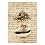 Cowrie shells custom announcement