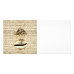 Cowrie shells photo greeting card