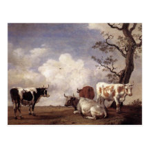 Cows by Potter Postcards