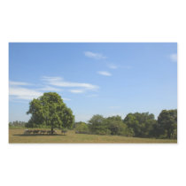 Cows in the Shade (2) Stickers