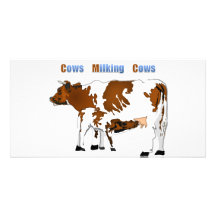 Cows Milking Cows Custom Photo Card