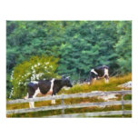 Cows - Moo Personalized Invite