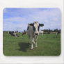 Cows Mousepad