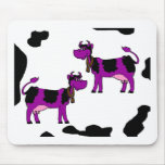 Cows