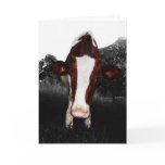 Cows - NOT Always Black and White