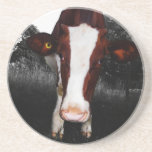 Cows - NOT Always Black and White