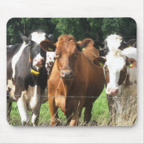 Cows Themed Gifts: Forever Friends Mousepad