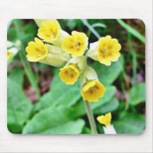 Cowslip Flower Mousepads