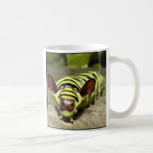 Cowterpillar Tasses
