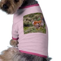 Coyote And Antelope In Yellowstone Park Dog T Shirt