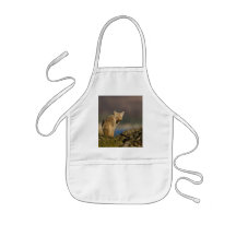 coyote aprons