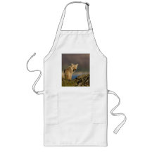 coyote aprons