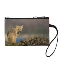 coyote change purse