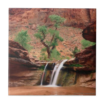 Coyote Gulch, Utah Tiles
