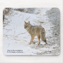 Coyote, Mousepads