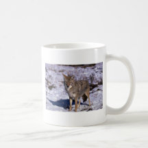 Coyote on snow coffee mug