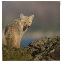 coyote printed napkin 