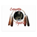 Coyote Spirit Postcards