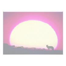 Coyote, sud-ouest, effet spécial faire-parts
