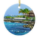 Cozumel Chankanaab Park Ornament
