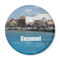 Cozumel Fridge Magnet