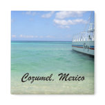 Cozumel, Mexico Refrigerator Magnet
