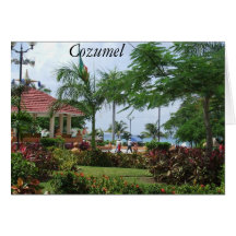 Cozumel Tropical Palm Tree Greeting Cards