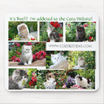 Cozy Kitten Mouse Pad