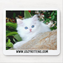 Cozy Kittens Heaven On Earth Mousepad