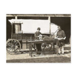cp1563 Army Medical Wagon Post Cards