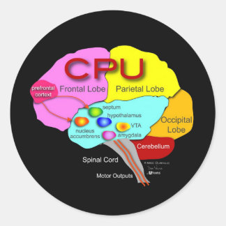 cpu_brain_round_stickers-r15ad85b735a841cb9ed6078849fca22d_v9waf_8byvr_324.jpg