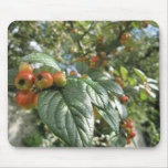 Crab Apples Mouse Pad