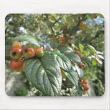 Crab Apples Mouse Pad