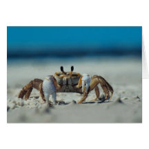 Crab Cards