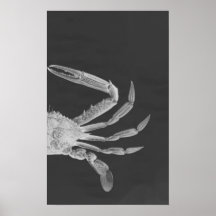Crab Diptych I in Gray Posters