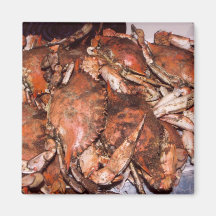 Crab Feast Fridge Magnets
