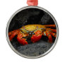 Crab Grapsus Grapsus From The Galapagos Islands Christmas Tree Ornament
