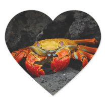 Crab Grapsus Grapsus From The Galapagos Islands Heart Stickers