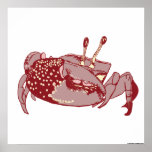 Crab Illustration Poster